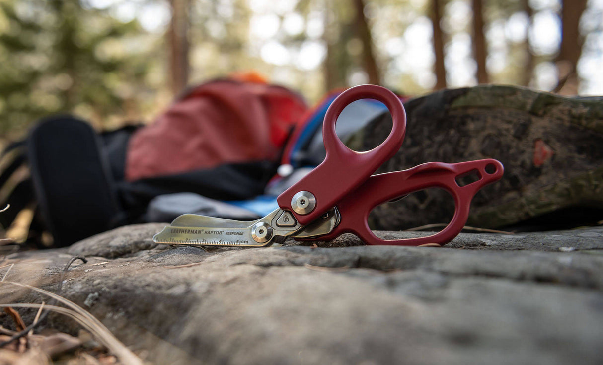Translation missing: en.raptor response next to a campsite