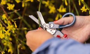 Translation missing: en.gardening with the raptor response